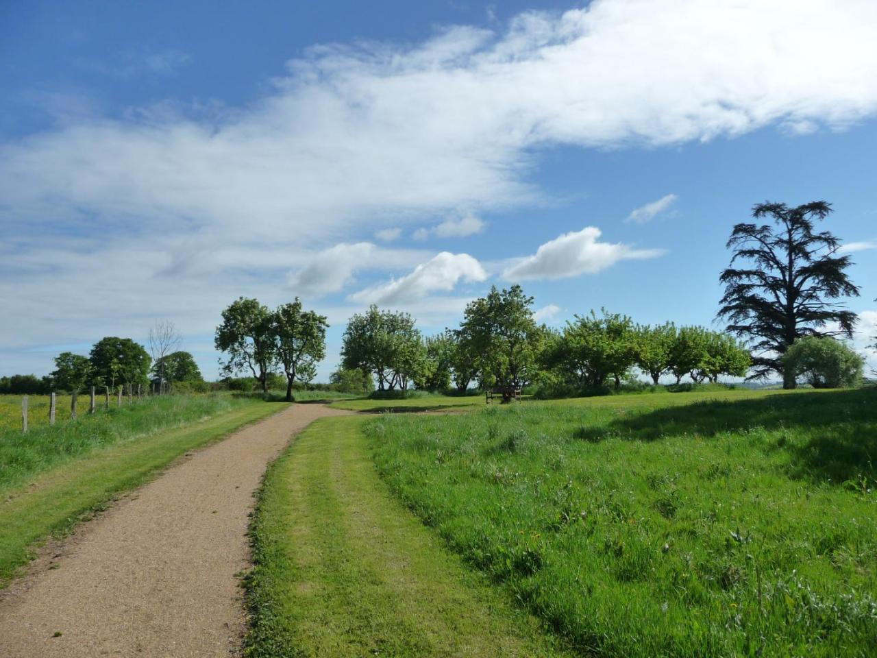 Bed and Breakfast Domaine De Savigny Saint-Saulge Экстерьер фото