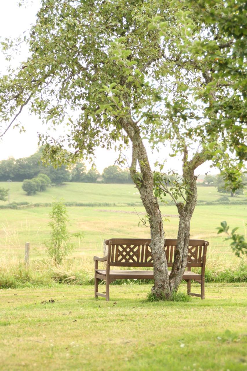 Bed and Breakfast Domaine De Savigny Saint-Saulge Экстерьер фото